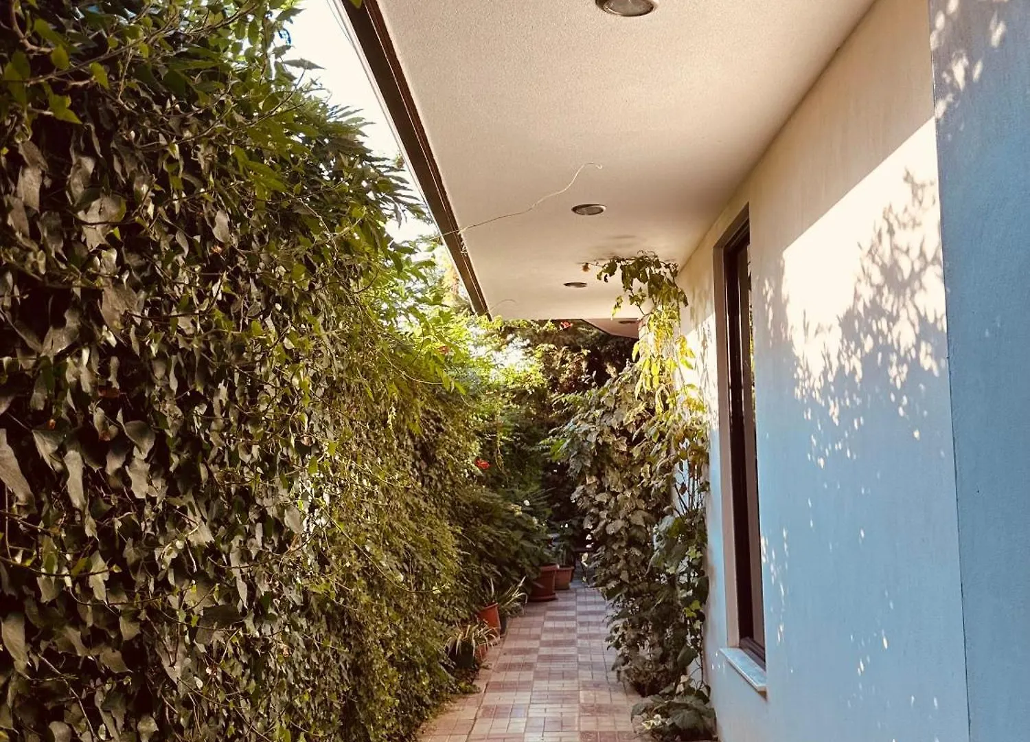 Hotel Saint Marena Pogradec